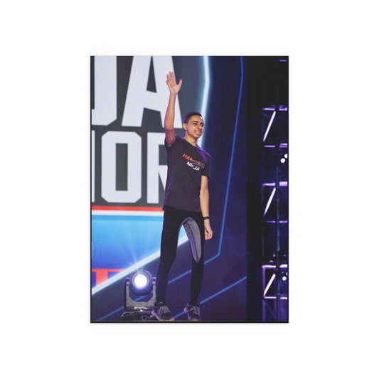 HartCore Ninja ANW17 Silk Poster Art